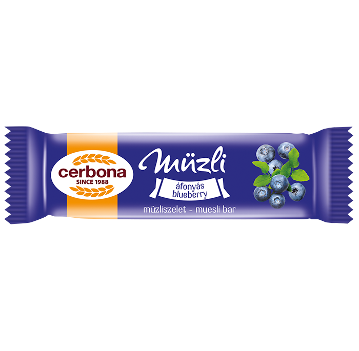 Blueberry muesli bar